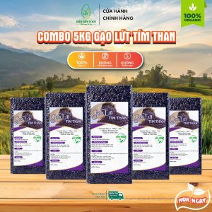 Gạo Lứt Tím Than Điện Biên Combo 5kg